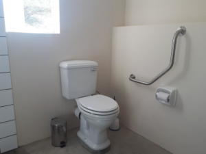New bathroom toilet