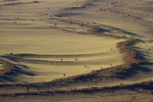 Dunescape from above 