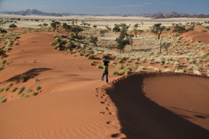 Roode dune lowres                           