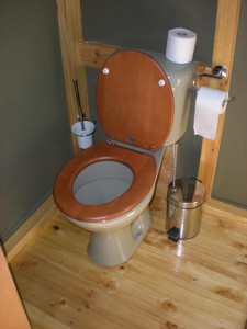 Orion Toilet    